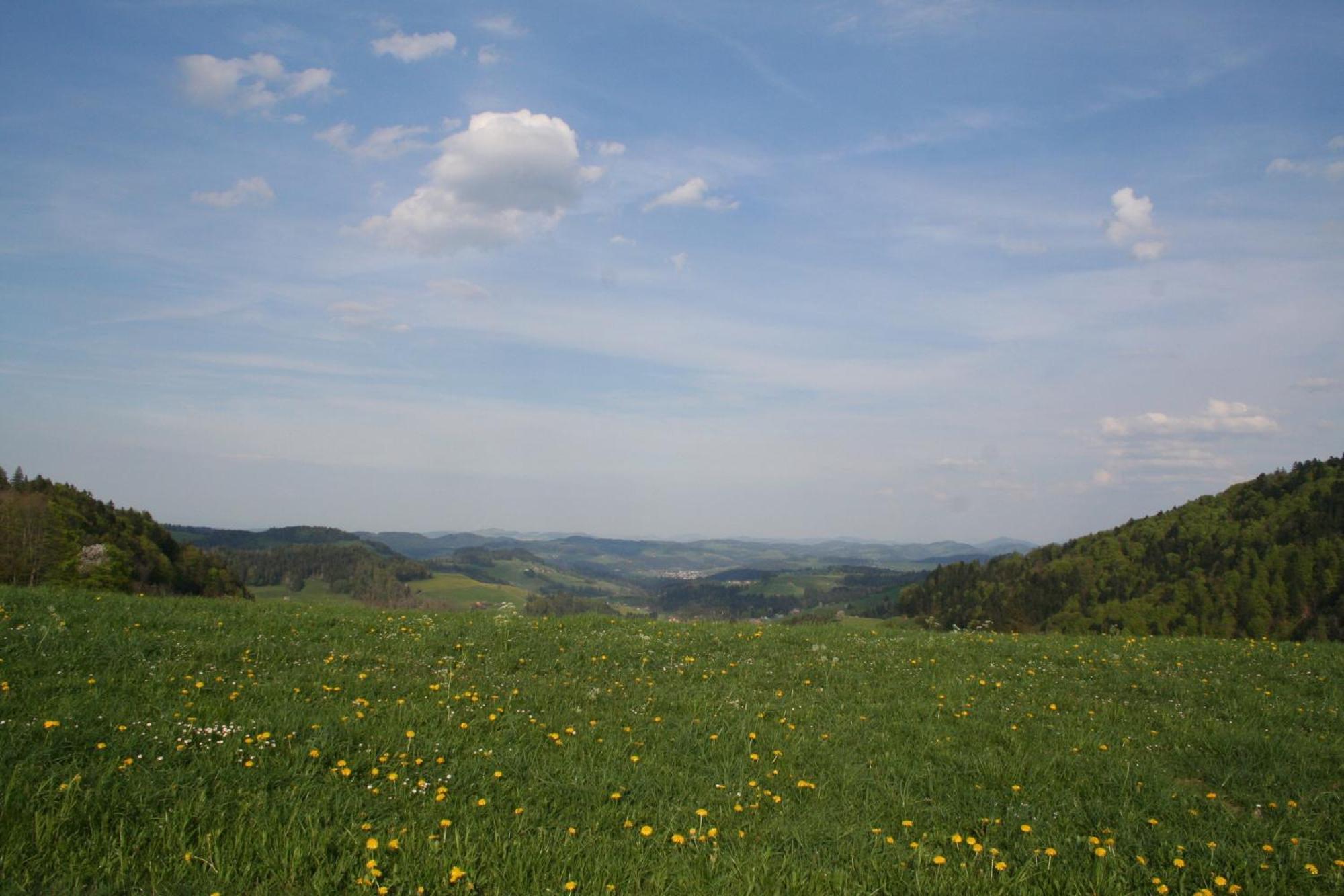 Apartment Hulfteggpass Mühlrüti Bagian luar foto